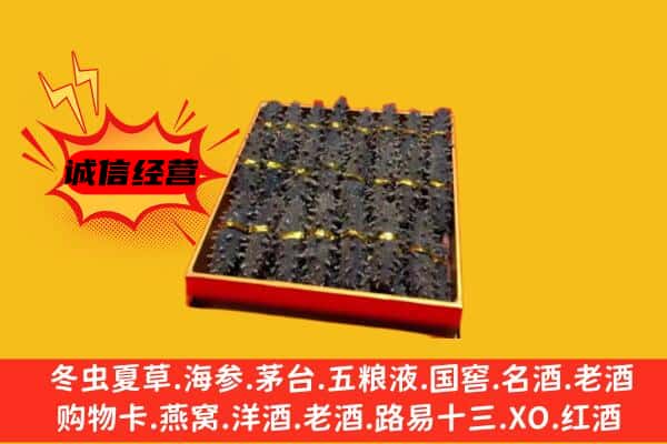 广元市旺苍回收海参